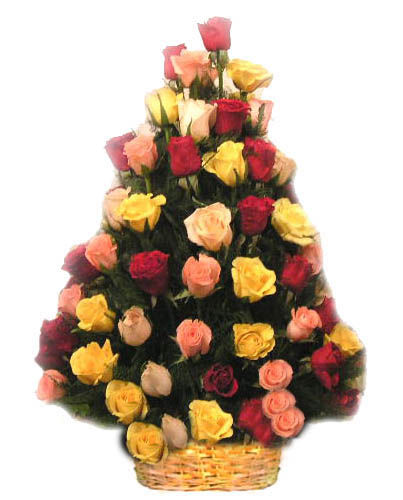 50 Mix Color Roses Classic